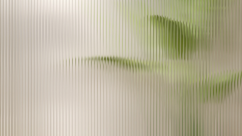 plant behind reeded glass