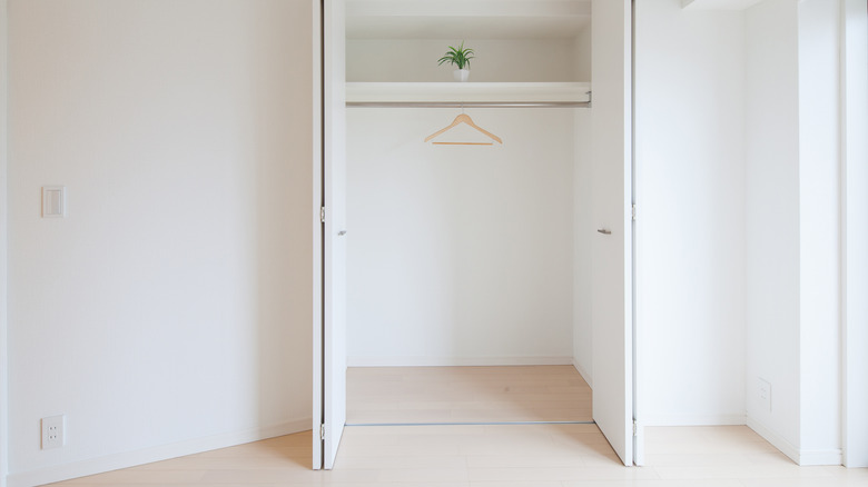 empty closet with small plant
