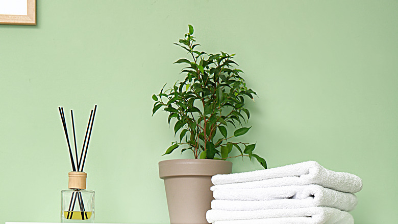 laundry room decor
