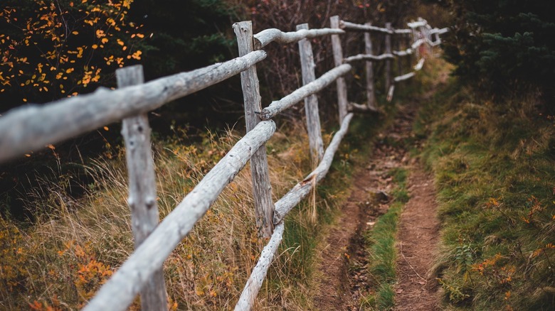 fence made of old wood