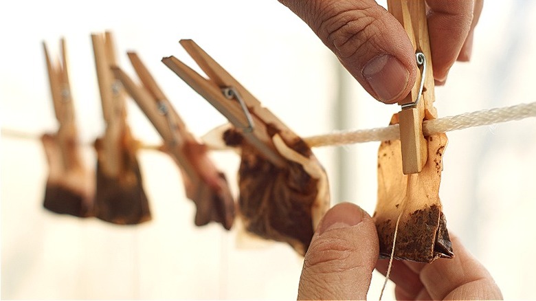 Person drying tea bags