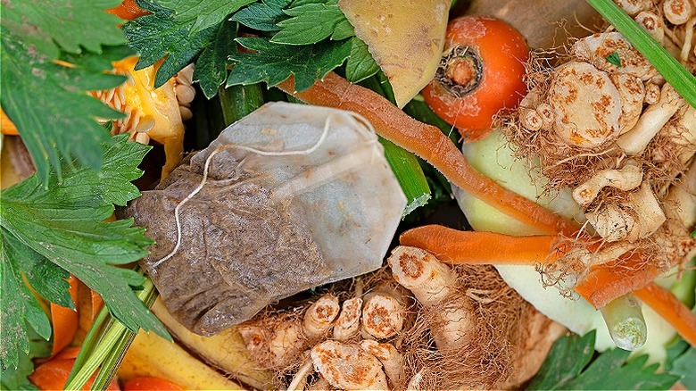 Tea bag in food compost