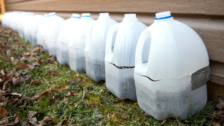 How to upcycle plastic milk jugs