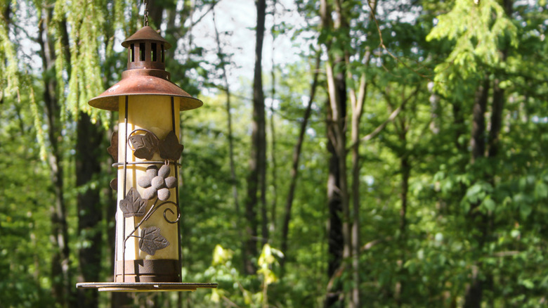 An ornate vintage bird feeder with some rust hangs in a wooded area
