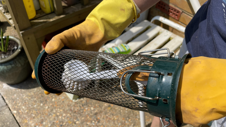 A person wearing rubber gloves uses a white brush to clean the inside of a metal bird feeder