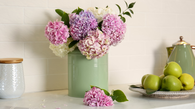 Bouquet of hydrangeas on a kitchen table