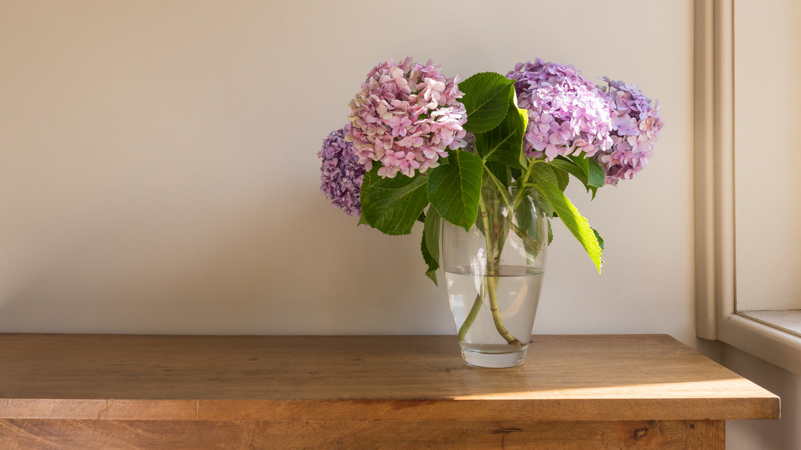 How To Revive Your Wilted Hydrangeas