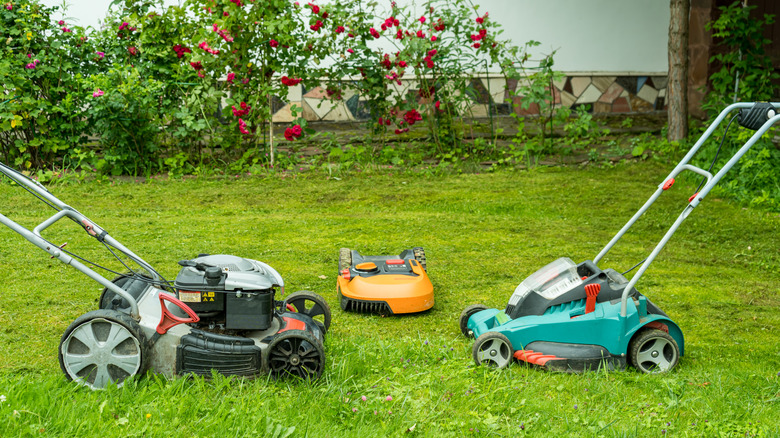 Three different lawn mowers placed on a grassy lawn near a garden with blooming flowers