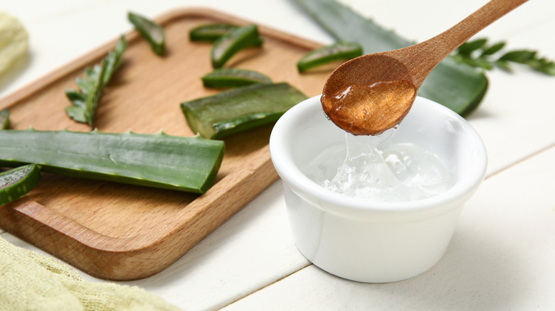 Wooden spoon scooping aloe gel out of a bowl with cut aloe leaves on a wood board