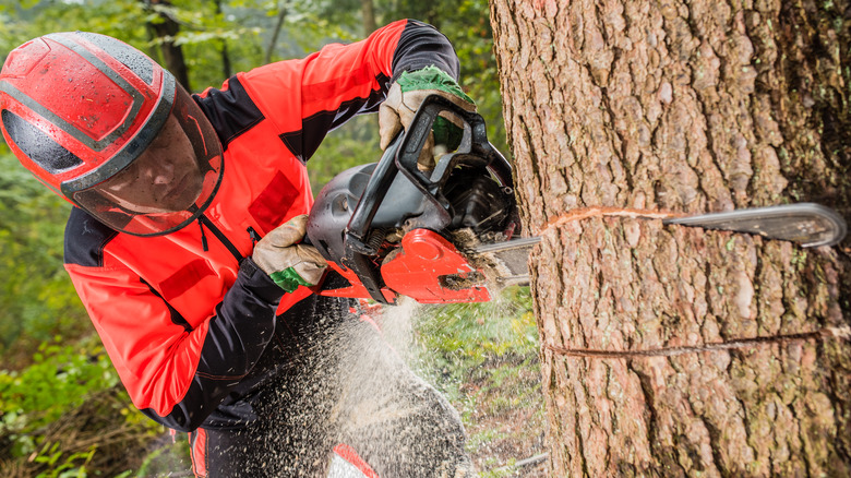 Chainsaw Safety: How To Use A Chainsaw Safely - Which?