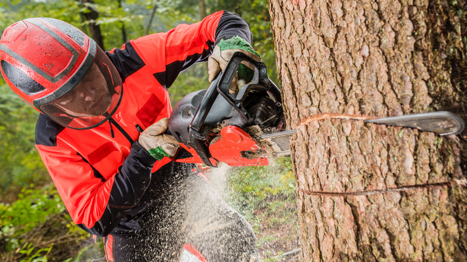 How To Safely Use A Chainsaw
