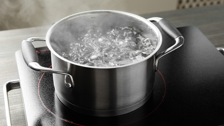 Stainless steel pot filled with boiling water on an induction burner.