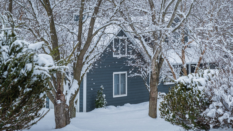 Dark gray house with snow on ground, trees, and shrubs
