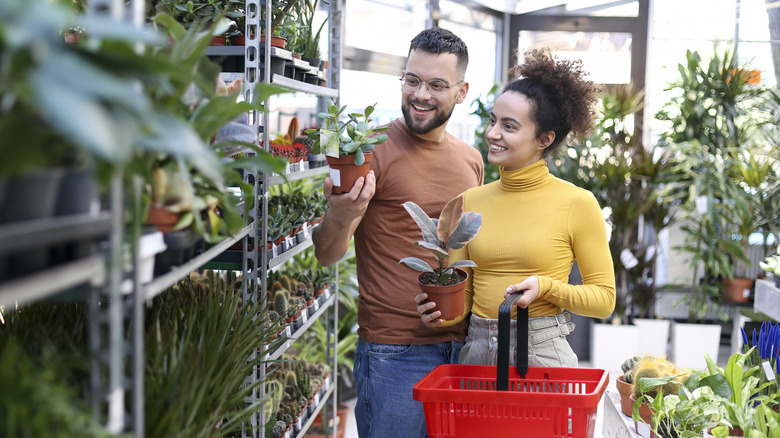 A couple shopping for plants in a home and garden store