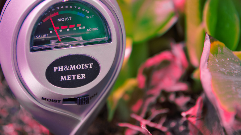 Analog indoor moist and PH soil quality meter for indoor growing houseplants