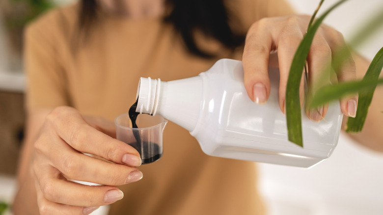 gardener hands pouring liquid complex organic mineral fertilizer for houseplants from a bottle