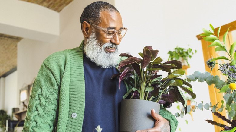 Man holding a potted plant in an interior setting