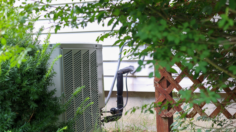 An AC outdoor unit hidden amongst trees and shrubs