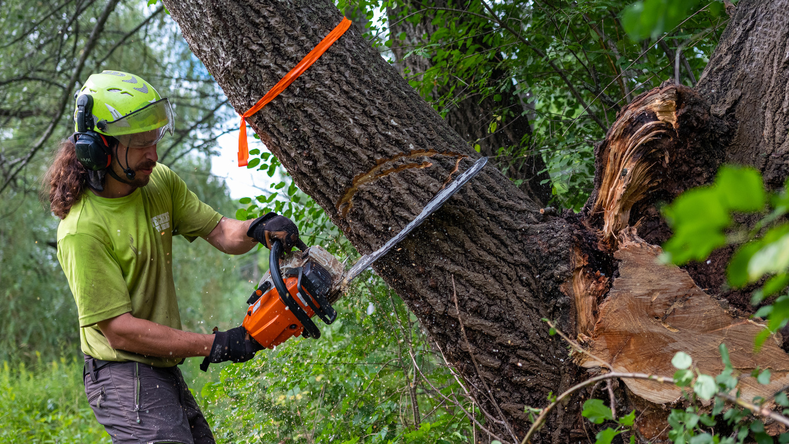 How To Sharpen A Chainsaw To Keep It Cutting Cleanly