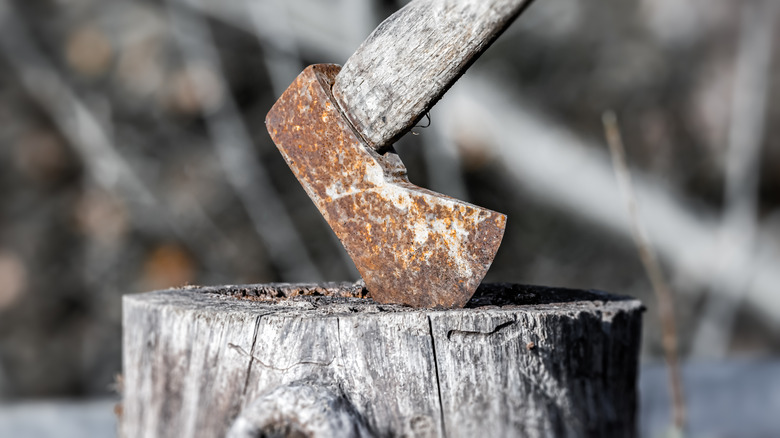 Rusted old axe in a tree stump