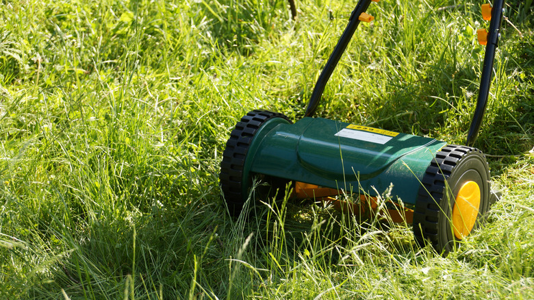 A push reel mower cutting through tall grass