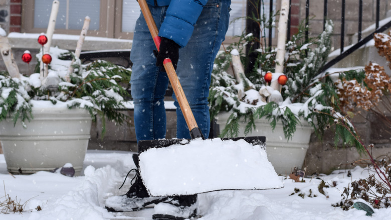 Man shoveling snow from the front yard walkway of a residential house, shovel with snow lifted up in the air