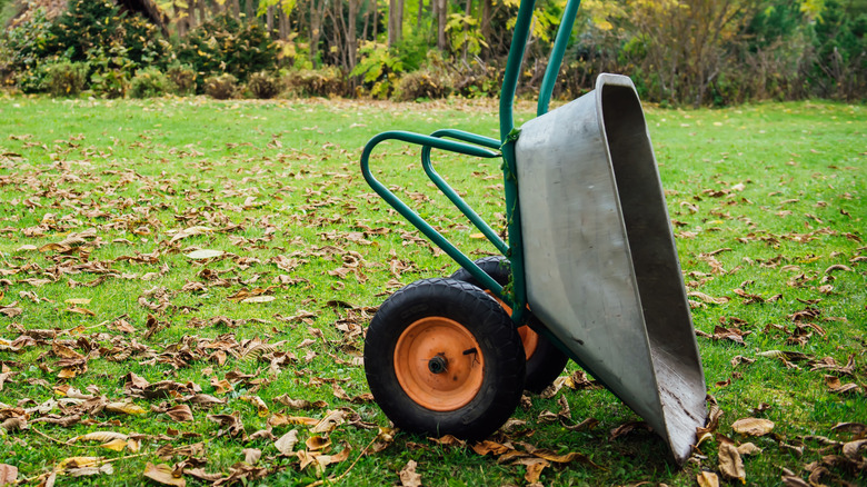 An empty wheelbarrow on its end in a lawn