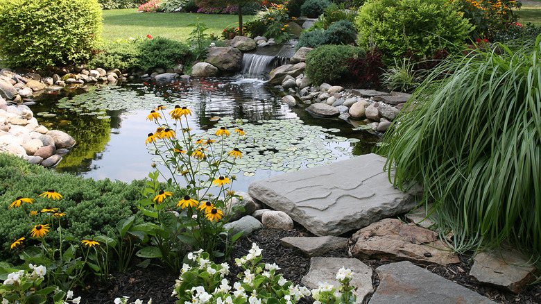 pond with plants that create soft edges