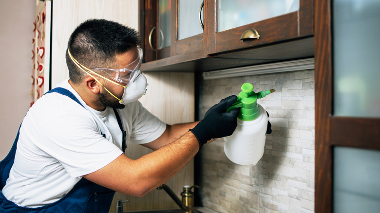 A person in protective gear sprays a wall to treat termites.