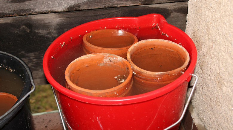 Cleaning clay pots