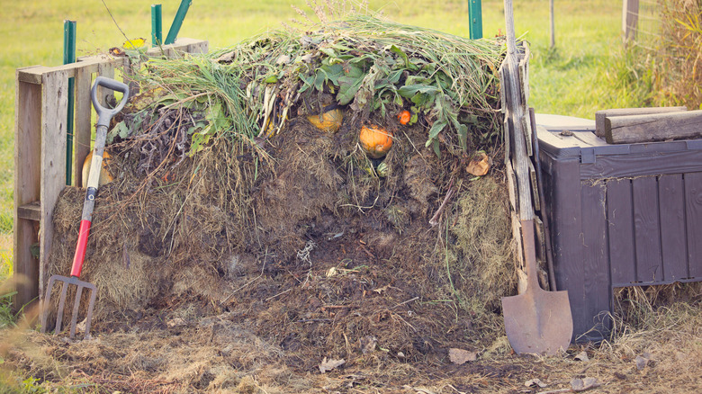 A working compost pile