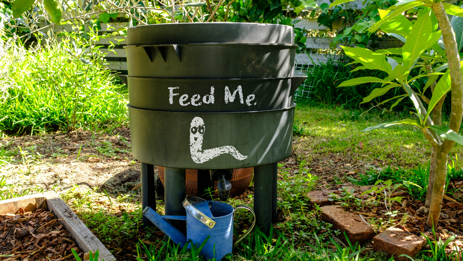How To Start Worm Composting In Your Kitchen