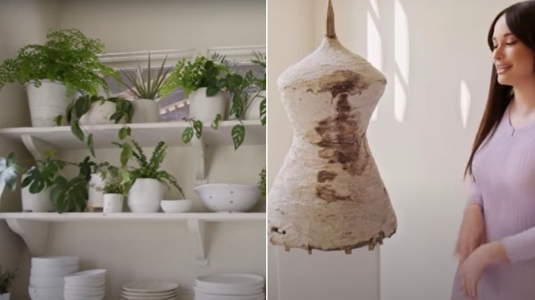 Kacey Musgraves's plant wall and hornets nest