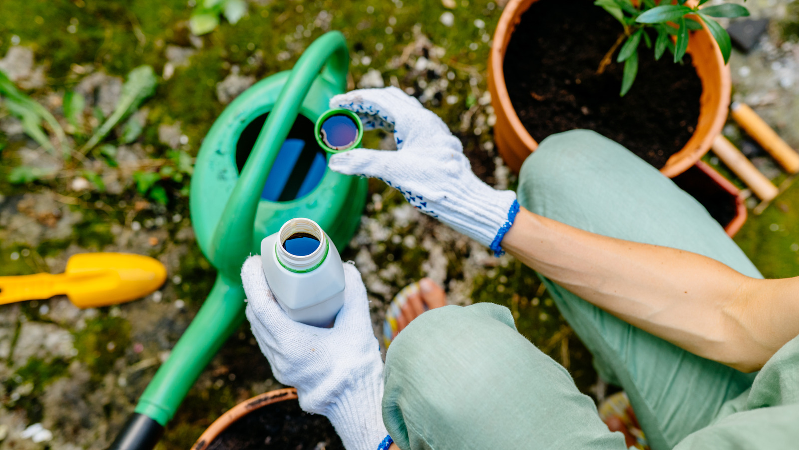 How To Sterilize Soil With Hydrogen Peroxide (And Why You Should)