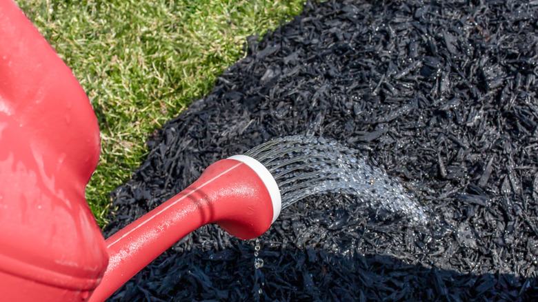 Man spraying straw mulch