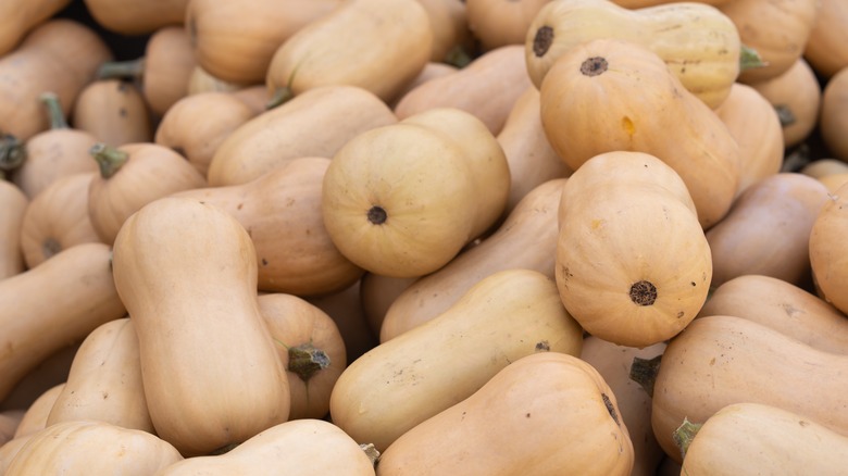 Close up of butternut squash