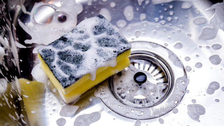 Sponge sitting in sink