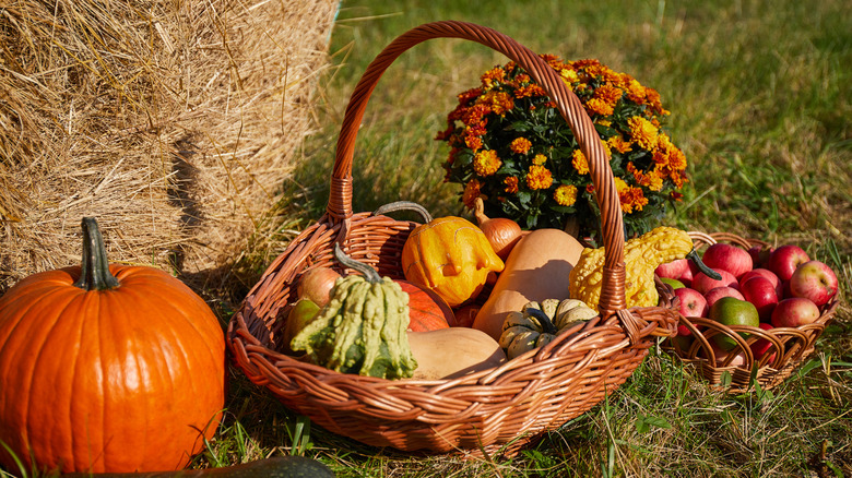 A fall harvest basket outside, filled with gourds and surrounded by mums, pumpkin, apples, and straw