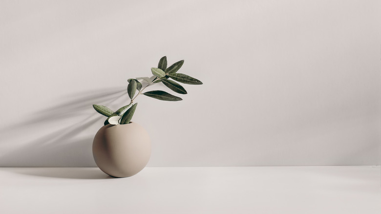 circular beige vase with leaves