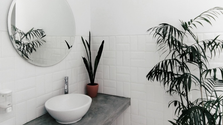 bathroom sink with mirror