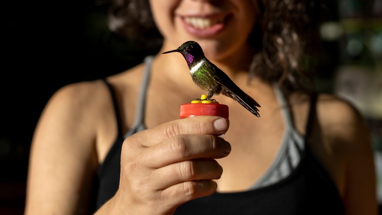 woman holding hummingbird
