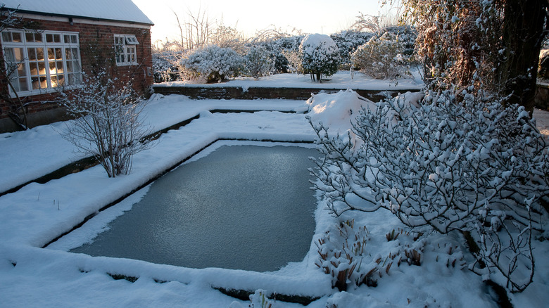 frozen pond in the garden in winter