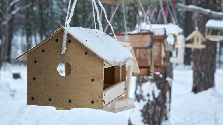 multiple bird feeders in the garden in the snow