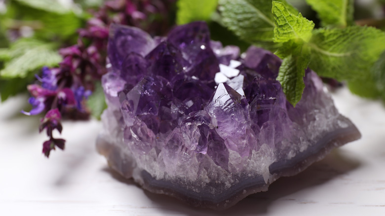 Amethyst surrounded by herbs and flowers