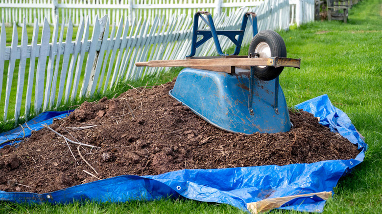 A blue tarp with a pile of mulch on top sits under a blue wheel barrow upsidedown on the pile in front of white picket fence