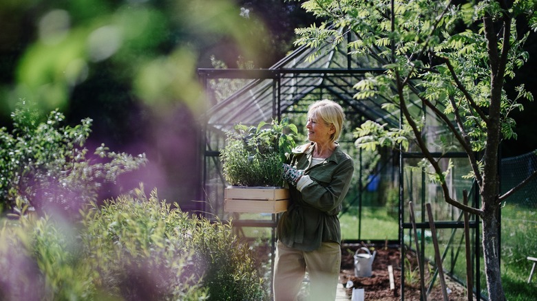 a woman in the garden