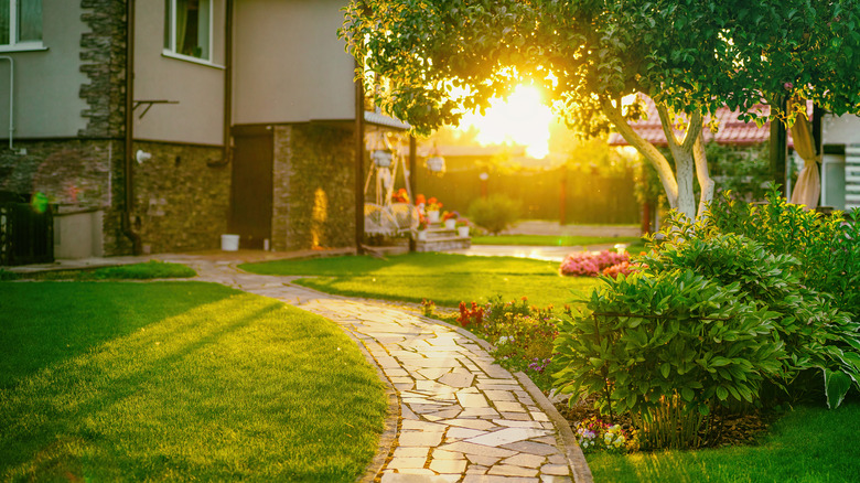 Landscaped backyard with sunlight