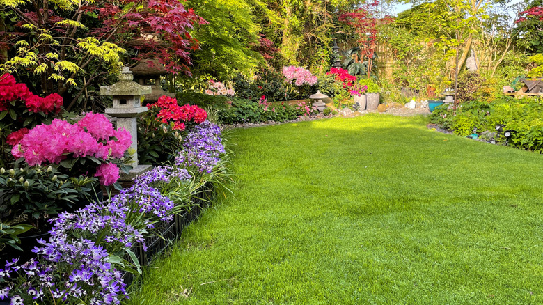A series of flowers growing along the edge of a garden