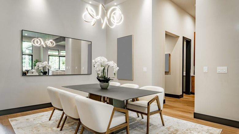 dining room mirror reflecting the light fitting and natural light