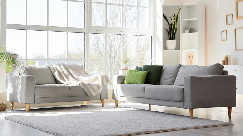 Minimalist style living room with hints of green and gray